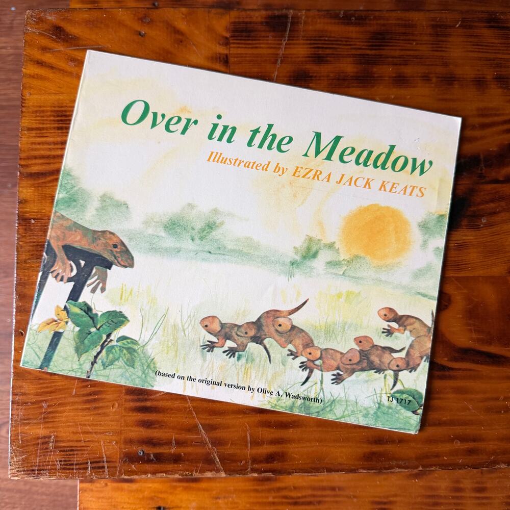 Vintage 1971 Over In The Meadow Paperback Book